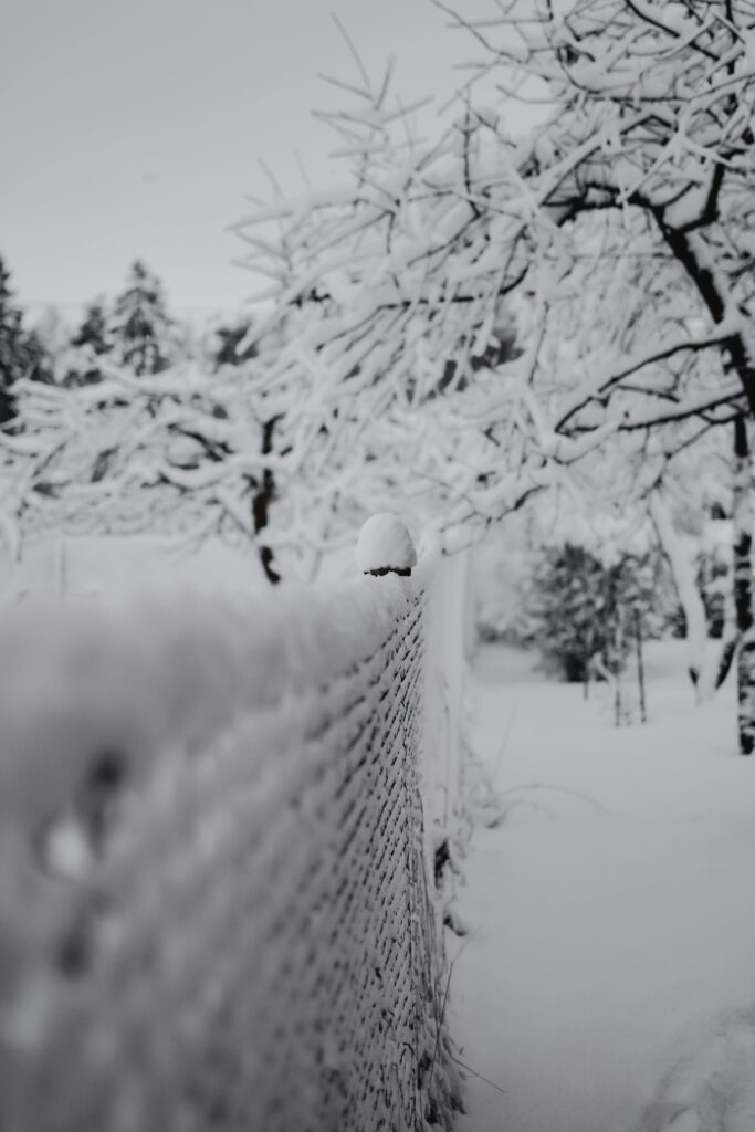 Das Klima und die besten Reisezeiten in Davos