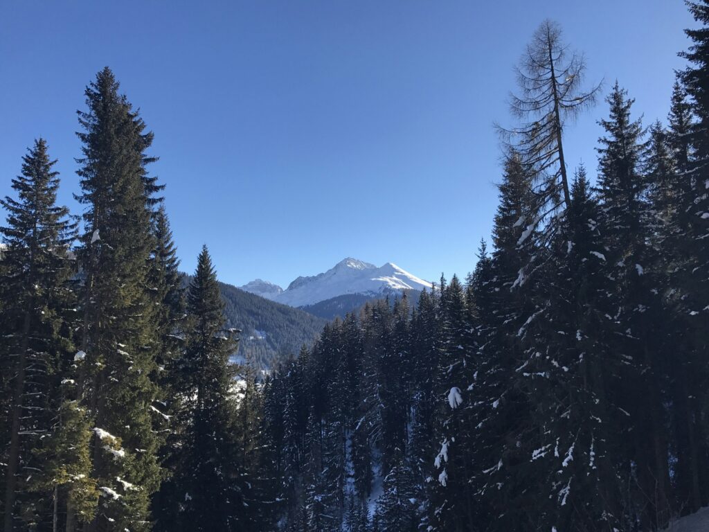 Schlösser und Burgen in Davos - Entdecken Sie die historischen Schätze der Region